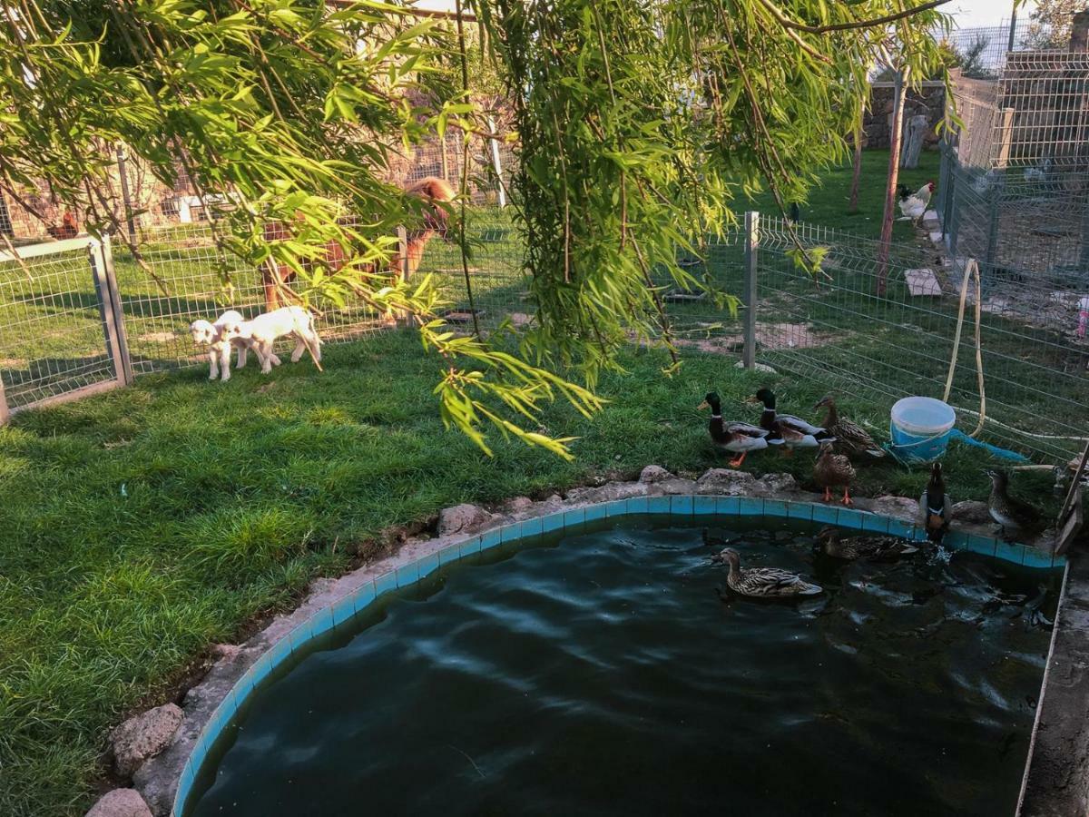Assos Alis Farm Boutique Hotel & Spa Eksteriør billede
