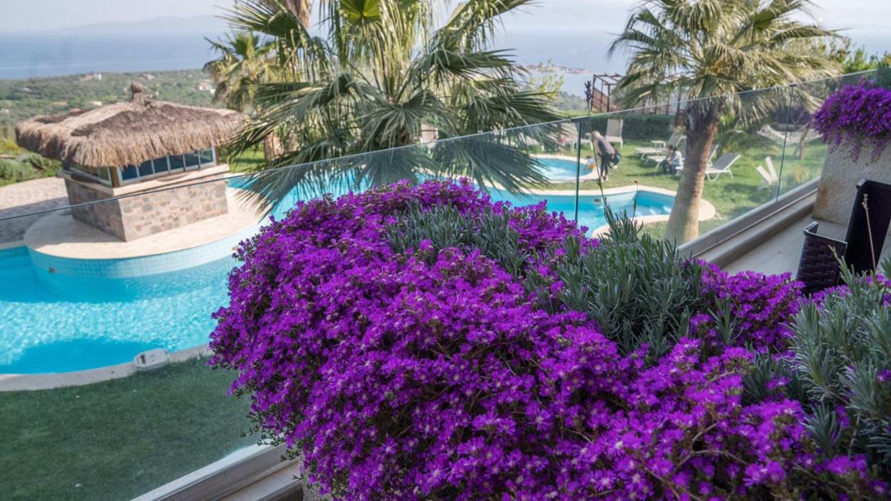 Assos Alis Farm Boutique Hotel & Spa Eksteriør billede