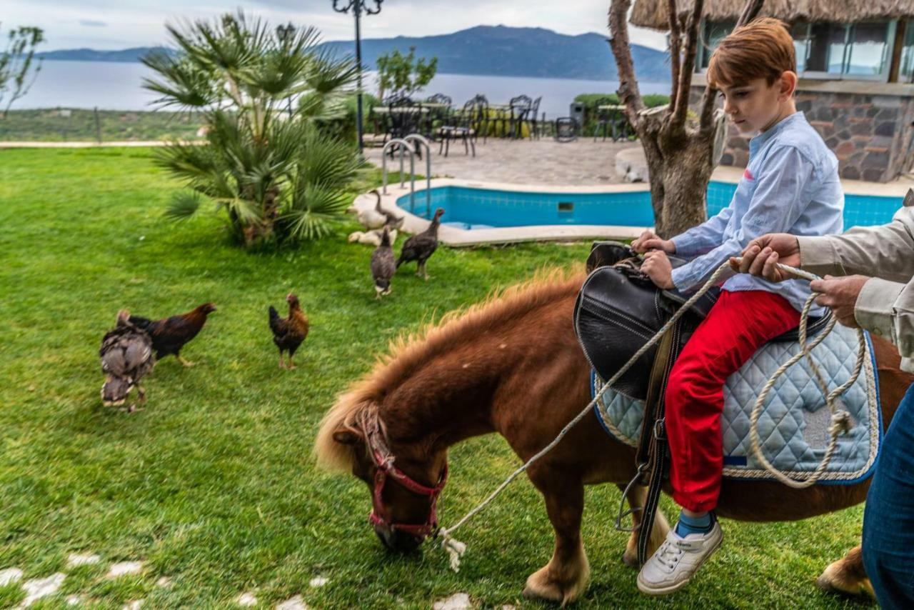 Assos Alis Farm Boutique Hotel & Spa Eksteriør billede