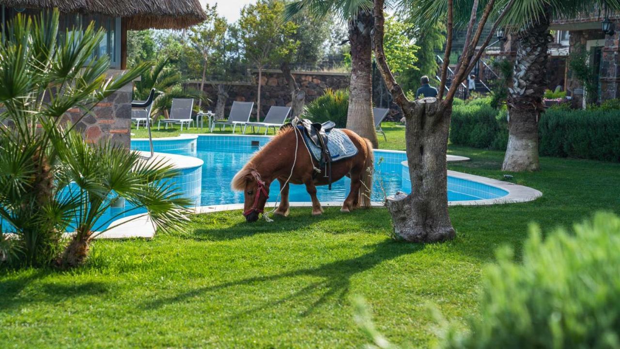 Assos Alis Farm Boutique Hotel & Spa Eksteriør billede