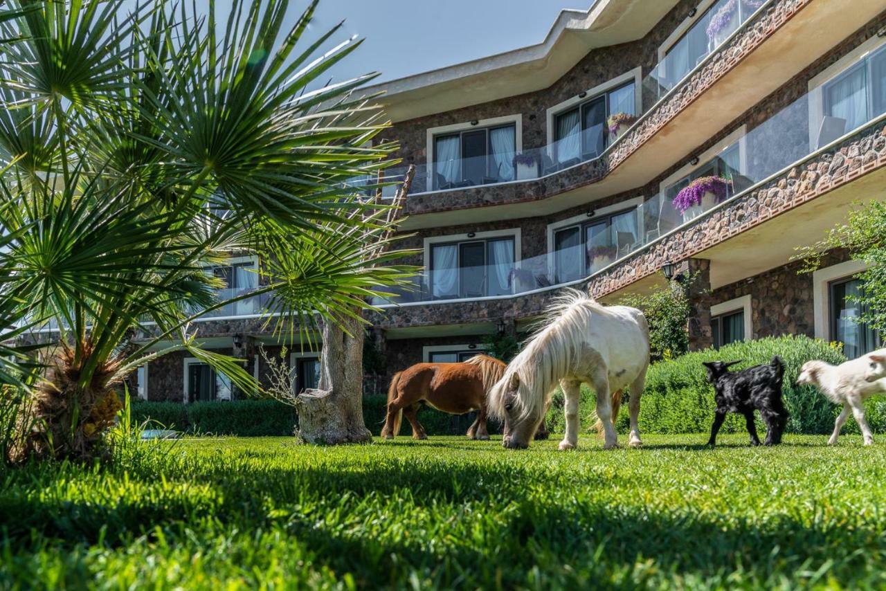 Assos Alis Farm Boutique Hotel & Spa Eksteriør billede