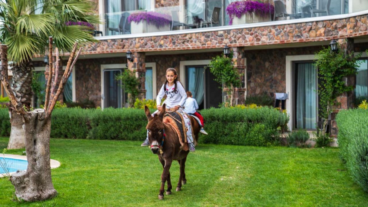 Assos Alis Farm Boutique Hotel & Spa Eksteriør billede