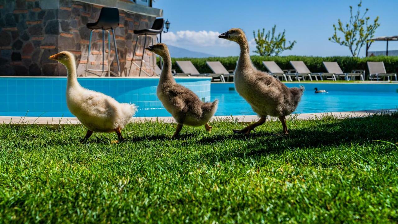 Assos Alis Farm Boutique Hotel & Spa Eksteriør billede