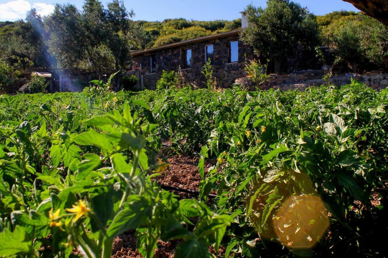 Assos Alis Farm Boutique Hotel & Spa Eksteriør billede