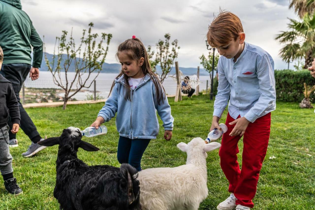 Assos Alis Farm Boutique Hotel & Spa Eksteriør billede