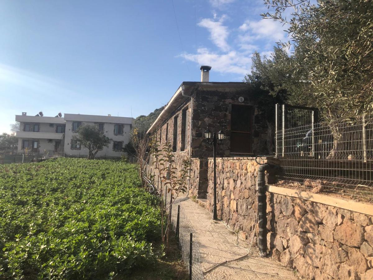 Assos Alis Farm Boutique Hotel & Spa Eksteriør billede